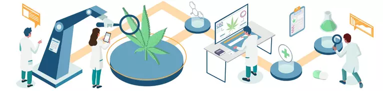 graphic of marijuana lab